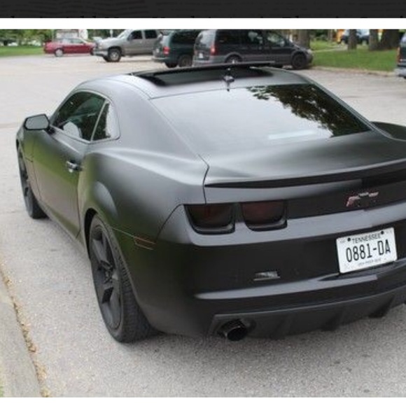 Meet your Posher, Ricky - Picture 1 of 1